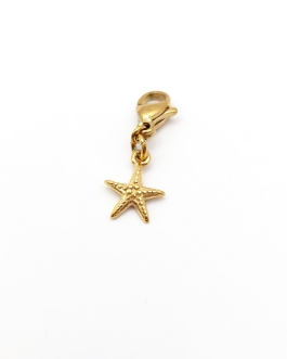 Clips étoile de mer